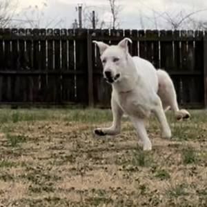 Meet your Posher, William